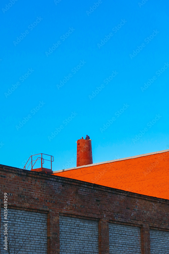 Obraz premium Cityscape: red brick wall, iron staircase to the roof, disassembled chimney and blue sky