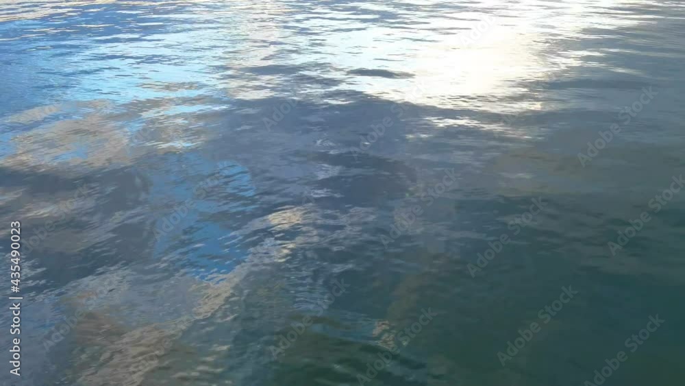 Beautiful Natural background on the surface of the water with reflection. Beautiful Natural background on the surface of the water with reflection.