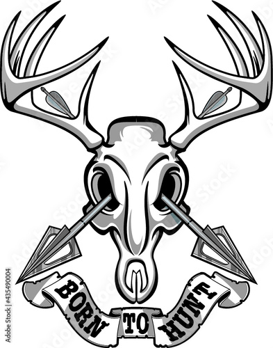 hunting trophy deer buck skull with hunting arrows