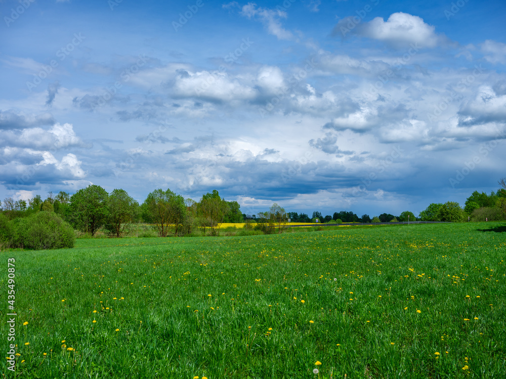 broken summer clouds over countryside fields and meadows in summer with yellow flowers