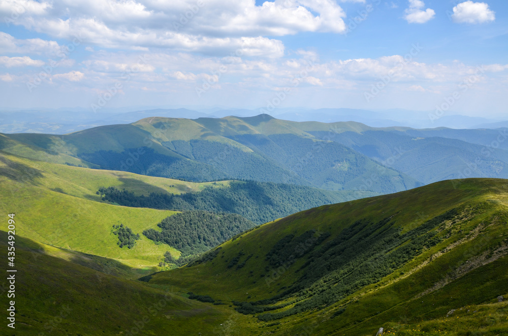 Beautiful mountain ridge with green hills and forest in summer. Natural outdoor travel background. Carpathians, Ukraine