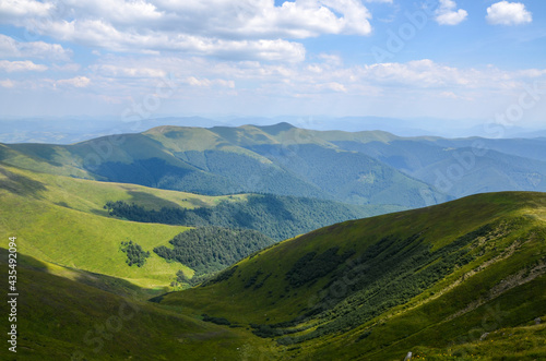 Beautiful mountain ridge with green hills and forest in summer. Natural outdoor travel background. Carpathians, Ukraine