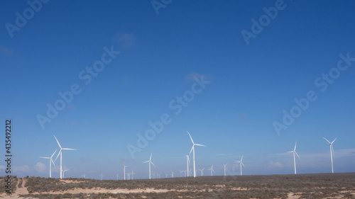 Wind farm with wind turbines on the west coast of South Africa, close to Lutzville photo