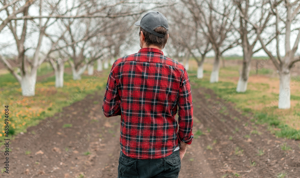 Rear view of handsome confident farmer in walnut fruit orchard