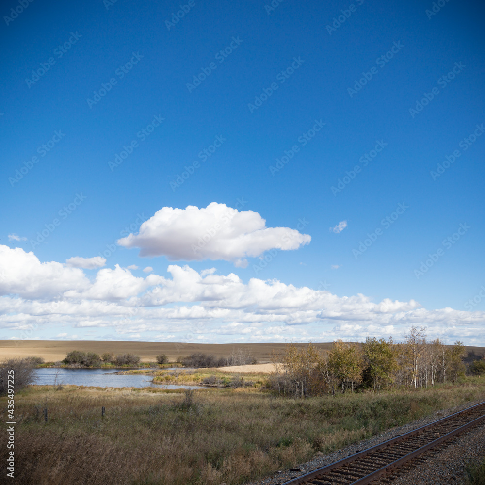 Fototapeta premium trees