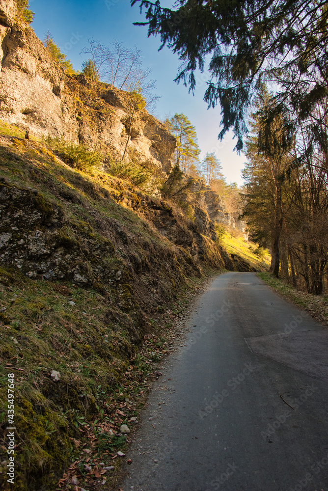 Felsen Felsen