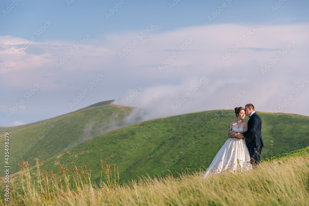 Walk along the mountain lawn. Carpathians in the background. Newlyweds on their wedding day.