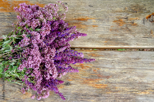 Spring flowers. Lilac flowers on wooden background