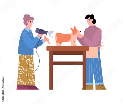 Salon grooming masters or hairdressers serving dog, vector illustration isolated.