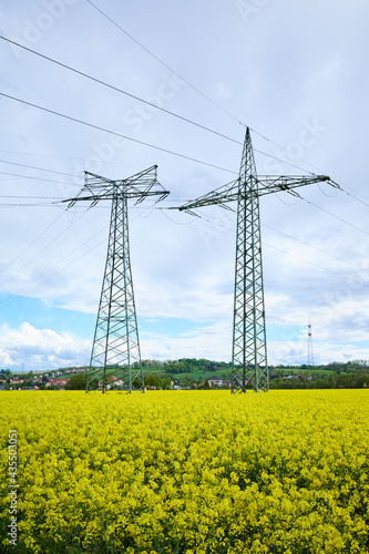 Power lines and high-voltage electricity pylons in the middle of rape fields in a spring landscape under blue sky and white clouds, renewable energy. Brassica napus.