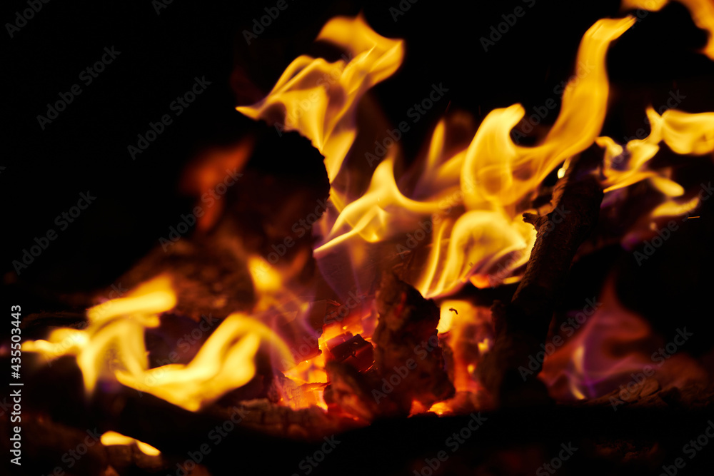 Fototapeta premium Close-up of flames of fire and burning wood in the fireplace