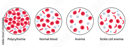 Blood structure concept