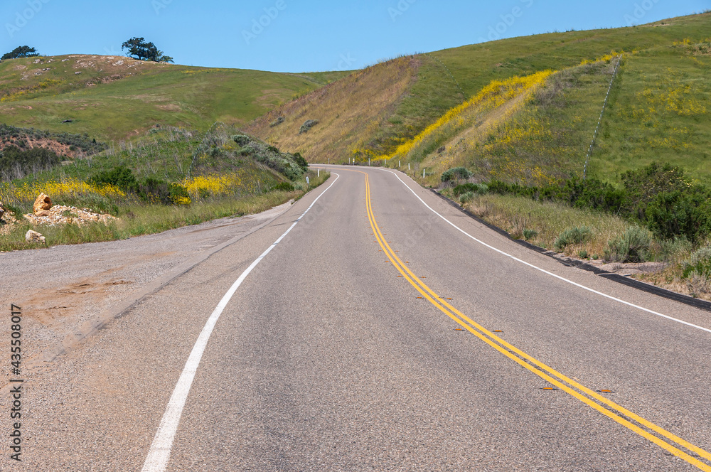 Santa Maria, CA, USA - April 8, 2010: Road 166 meanders through hilly green farmland with yellow mustard flowers under blue sky NE of town.