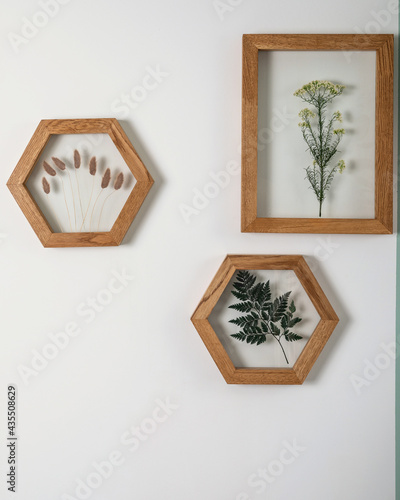 Dry flowers in a frame. walls with botanical leaves. Eco-friendly boho decor. photo