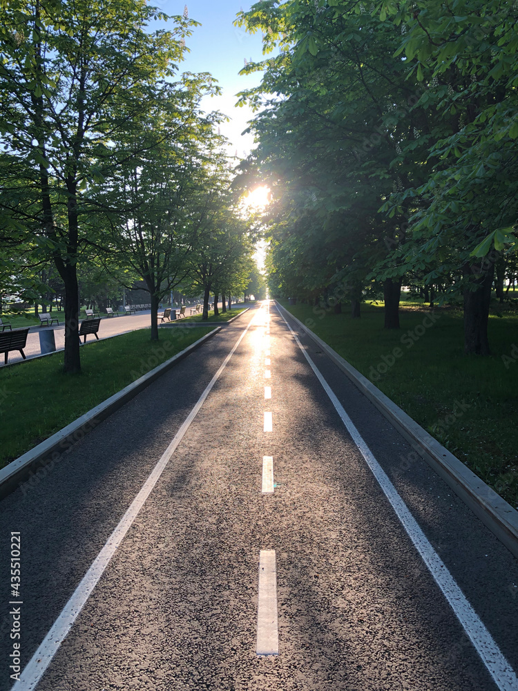 road in the park