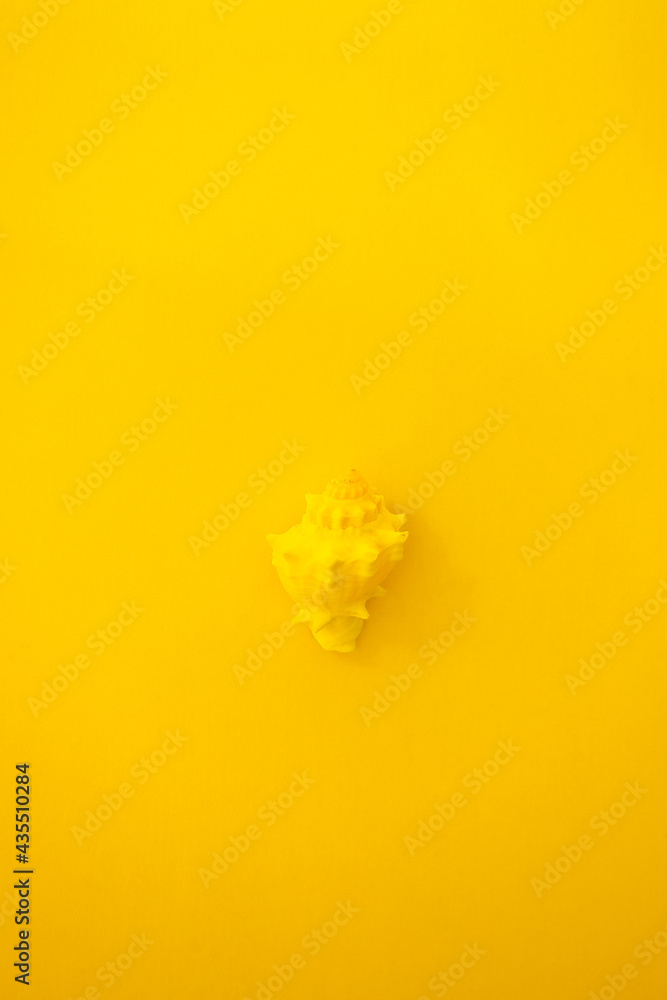Small tinted yellow seashell on bright yellow background from above Small tinted yellow seashell on bright yellow background from above