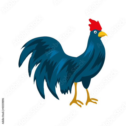 blue rooster cartoon