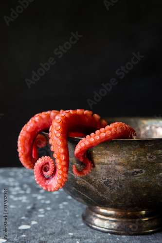 Closeup of octopus  photo