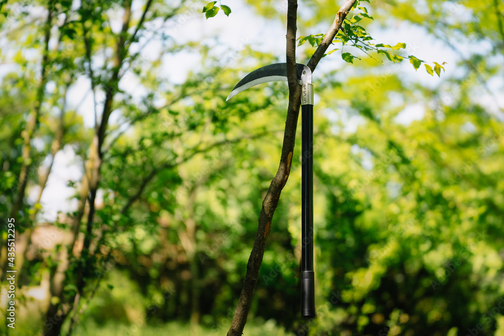 Fototapeta premium Scythe in tree in forest