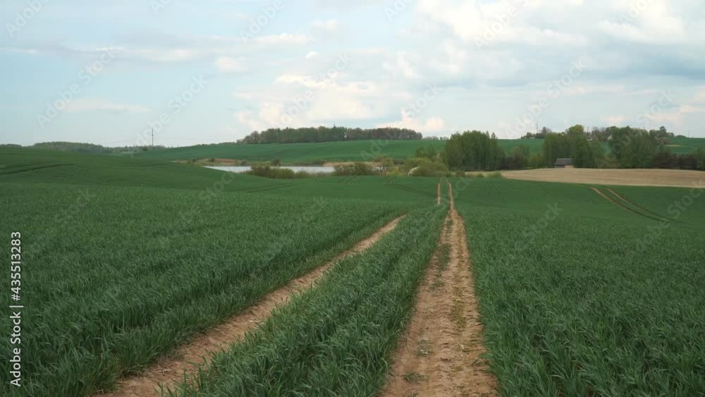 Beautiful farmland landscape in early summer with a rural road over agricultural land. Fields with young, green sprouts of cereals. The crop plants plantation panorama in a hilly environment. Beautiful farmland landscape in early summer with a rural road over agricultural land. Fields with young, green sprouts of cereals. The crop plants plantation panorama in a hilly environment.
