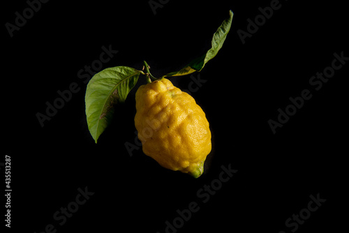 citron vert et jaune à feuilles