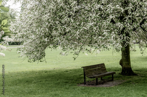 bench in the park © hipgnosis