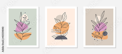 Set of modern abstract vector illustrations with organic various shapes and foliage line art.Minimalist wall art decor.Trendy artistic designs for banners social media invitations covers wallpaper.