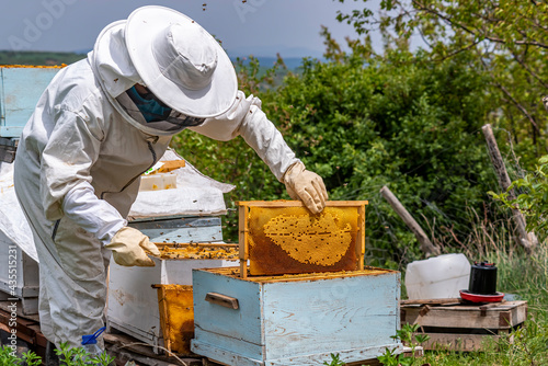 Beekeeper man is working with beehives. Beekeeper wears protective clothing. Beekeeping concept.