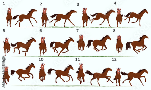 Animation of a 2D horse. Twelve key poses. Front view and side view.