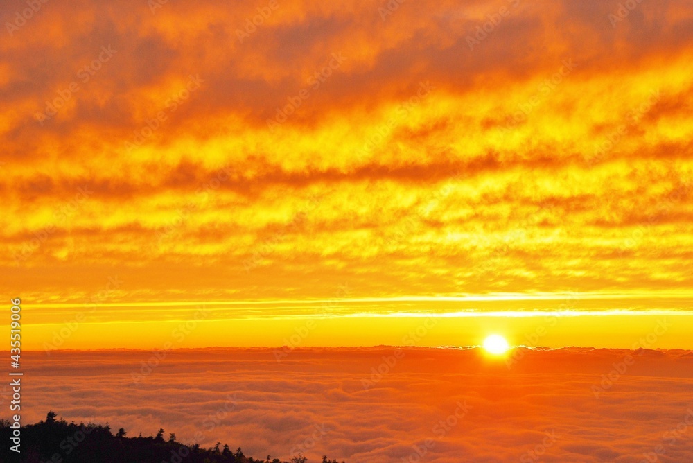 Fototapeta premium 雲海に沈む夕陽