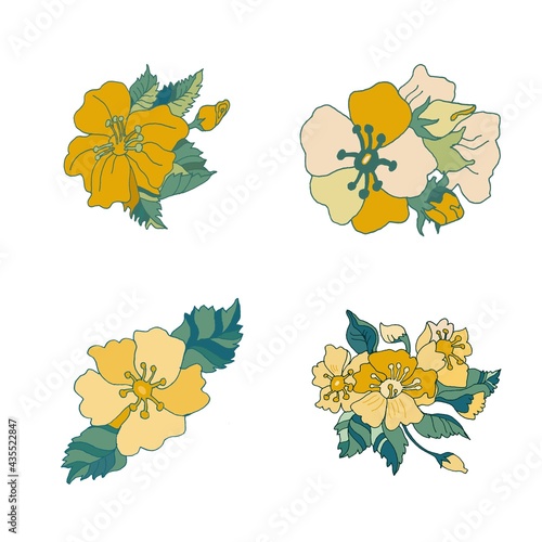 Apple flowers by hand drawn vector Fortuna Gold
