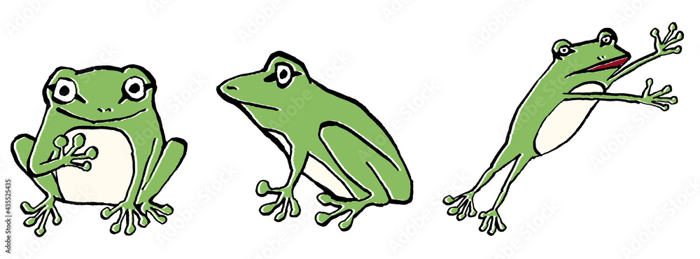 Fototapeta premium アマガエルのイラストポーズセット
