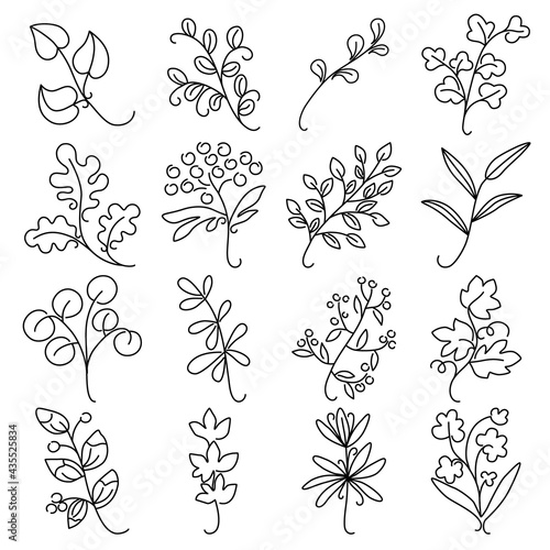 Fototapeta Naklejka Na Ścianę i Meble -  Branches and leaves of plants. Vector contour drawing on an isolated background. Doodle hand-drawn illustrations.