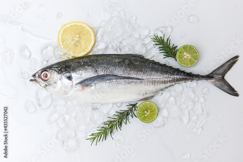 mackerel scad, Fish on ice for cooking food in the restaurant, Fresh fish raw torpedo scad with lemon, top view photo