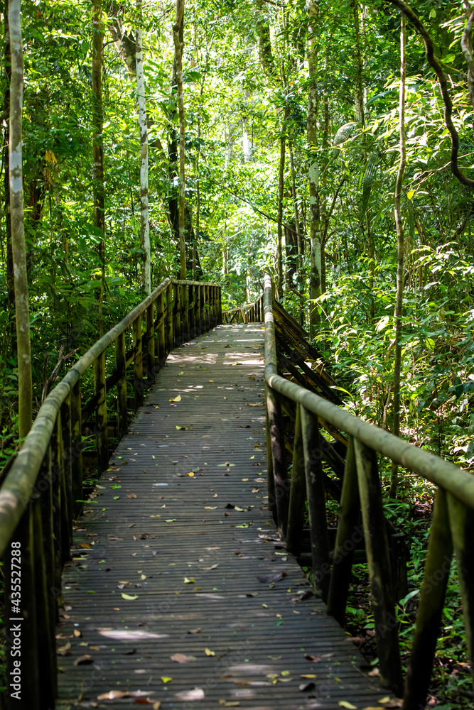 Manuel Antonio national park and beach landscape Manuel Antonio national park and beach landscape