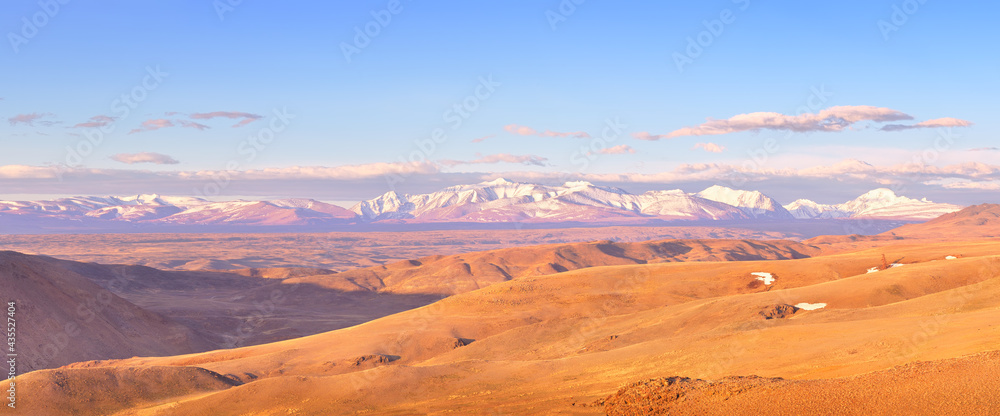 Kurai steppe in the Altai Mountains. Panorama of the snow-capped peaks of the Northern Chui Range in the spring morning light under a blue sky. Siberia, Russia