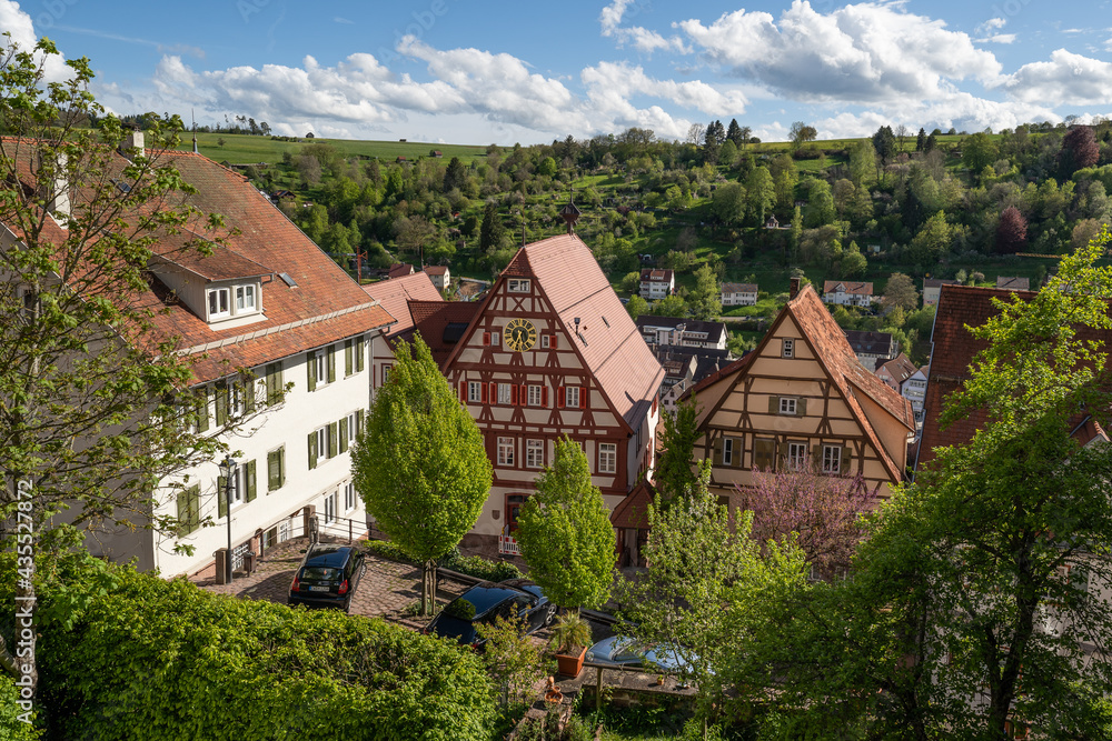 view form historic castle in the black forest