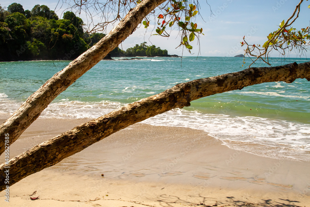 Manuel Antonio national park and beach landscape Manuel Antonio national park and beach landscape