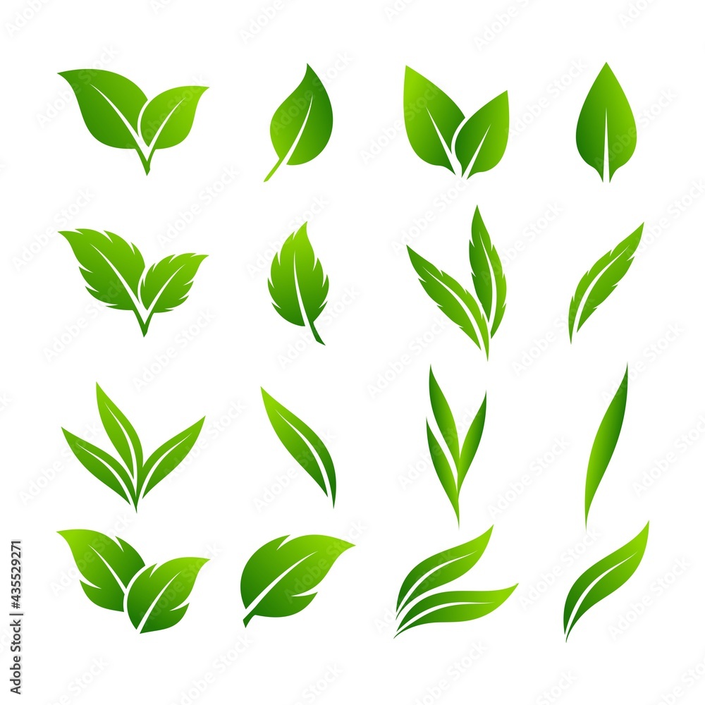 green leaf icons design template vector green leaf icons design template vector