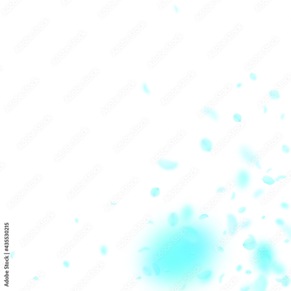 Turquoise flower petals falling down. Gorgeous rom Turquoise flower petals falling down. Gorgeous rom