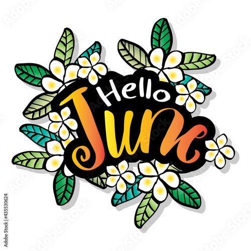 Hello June hand lettering  greeting card.