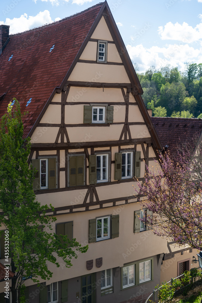 historic timber house in black forest