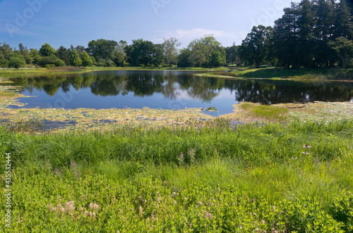 marshes and lake at arboretum photo