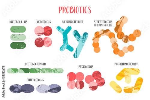 Probiotics. Lactic acid bacteria. Good microorganisms for gut and intestinal flora health. Microflora. Microbiome. Bifidobacterium, lactobacillus,  lactococcus, thermophilus streptococcus. Vector set