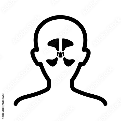 Sinusitis, sinus problems icon, vector and glyph