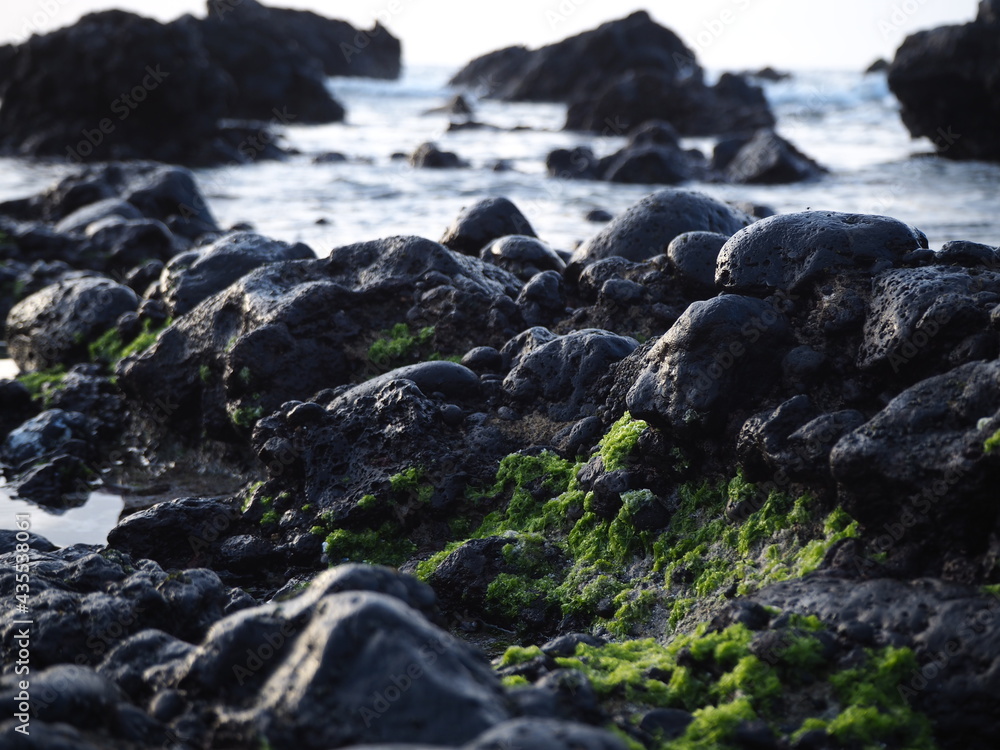 Naklejka premium Rocky ocean shore. Canary Islands, Tenerife