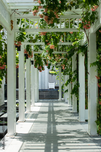 outdoor colonnade walkway in luxury tropical resort with vines, flowers and interesting shadows. photo