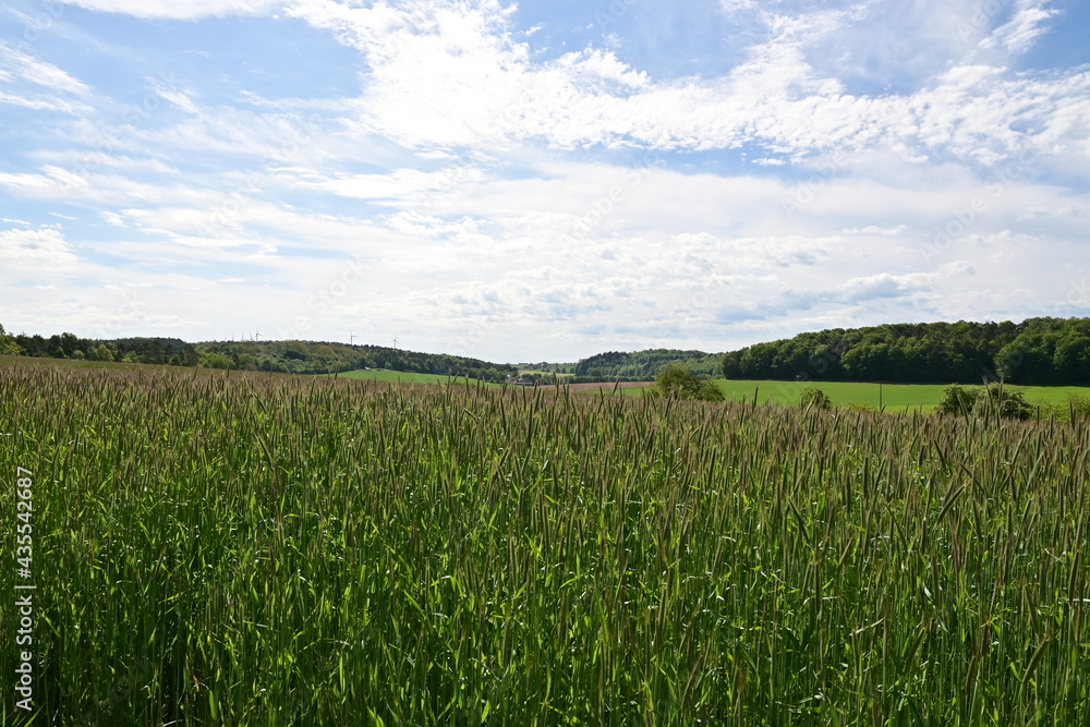Panorama bei Wertheim über Felder und HImmel Panorama bei Wertheim über Felder und HImmel
