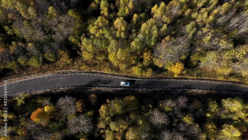 Flying above a white car driving on colorful autumn forest road. Aerial drone point of view Flying above a white car driving on colorful autumn forest road. Aerial drone point of view