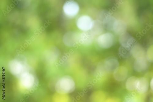 Juicy bright green background with bokeh effect. Design element